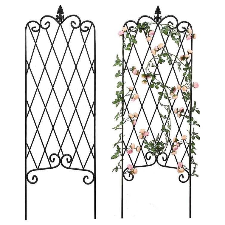Astoria Grand Kinneola 60'' H x 18'' W Iron Lattice Panel Trellis Wayfair